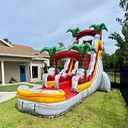 Water Slide and Dunk tanks