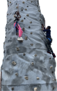 Rock Wall Rental